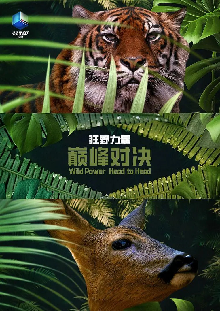 狂野的力量：巅峰对决 第一季