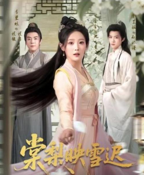 棠梨映雪迟(全集)