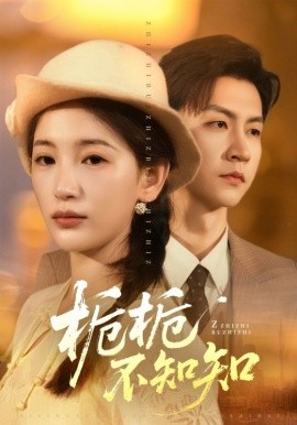 栀栀不知知(全集)