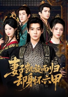 妻子凯旋而归，却身怀六甲(全集)